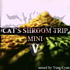 Cat's Shroom Trip Mini 5 (October 2025 RIDDIM DUBSTEP mixtape)
