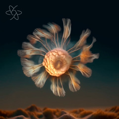 PREMIERE | mohse - Old School [CROCUS]