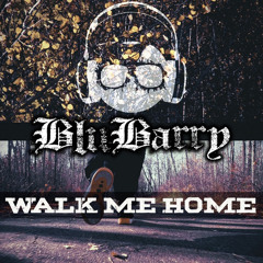 Blu - Walk Me Home mp3