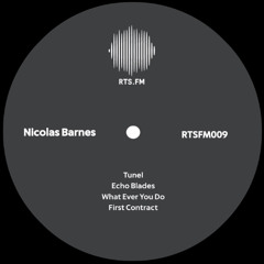 Nicolas Barnes - Tunel