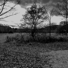 Improvisation 4/11/2020 - Pt2