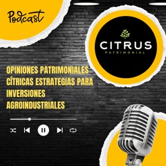 Opiniones Patrimoniales Cítricas Estrategias Para Inversiones Agroindustriales