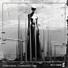 C-DU - Intentions / Harmonic Vibe