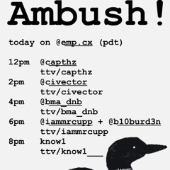 IamMrCupp & b10burd3n - EMP Radio Ambush 2025-06-12