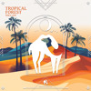 Nika (AR) - Tropical Forest (Cafe De Anatolia)