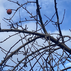 Nature Versus Nurture