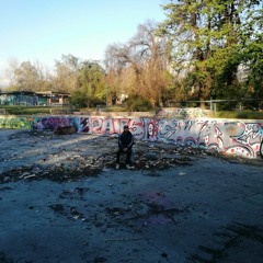 pez en la pecera.mp3