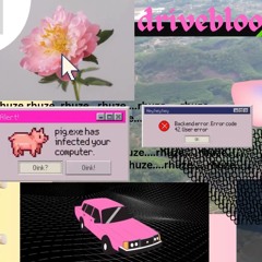 drive bloom