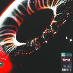 BNB - Concentrate