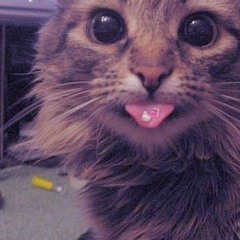 Molly💋 [@qwentcrazy] #vices