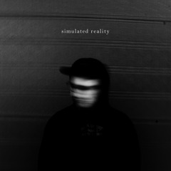 simulated reality