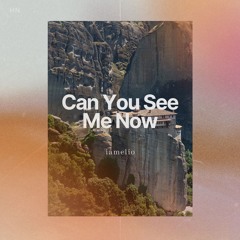Can You See Me Now