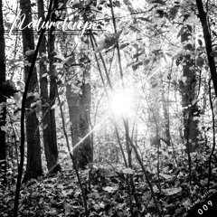 'NatureTempo' Podcast 009 - Johann Bello