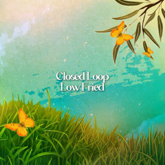 Low Fried (Hello Spring Compilation Album)