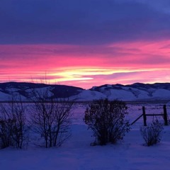 Life Is Bliss (Remastered)