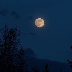 Dreamy Night Walks Prod.El Azer