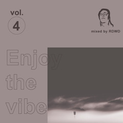 Enjoy The Vibe Vol.4