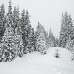 Rauhnacht