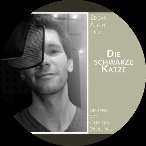 E. A. Poe - Die schwarze Katze | Kurzgeschichte mit sanftem Grusel