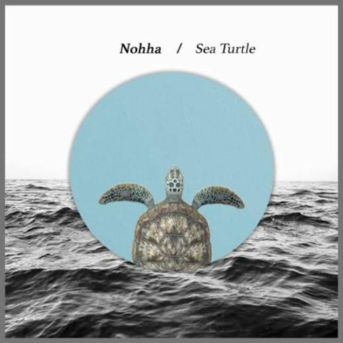 Nohha - Sea Turtle (Original Mix) FREE DOWNLOAD