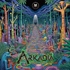 Arkadia - Infinity PLayground