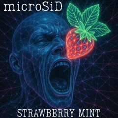 microSiD-Srawberry mint.flac