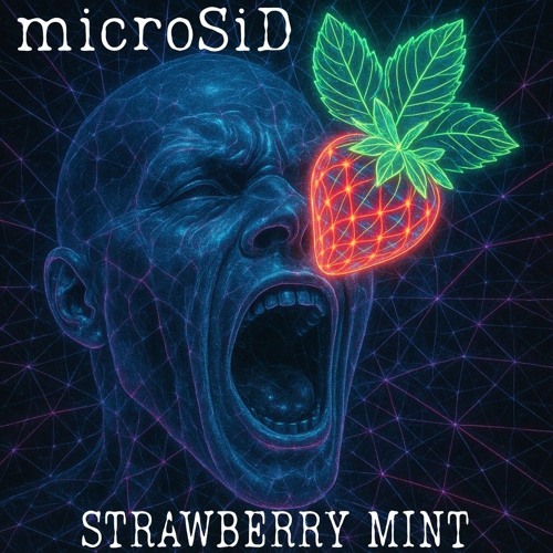 microSiD-Srawberry mint.flac