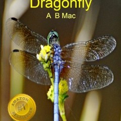 READ PDF EBOOK EPUB KINDLE The Amazing Dragonfly (Amazing Facts About Insects Book 2) by  A B  Mac �