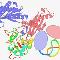 final hour / like cells 2
