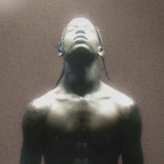 travis scott - fein [cherishU hard groove edit]