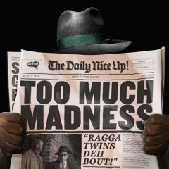 Too Much Madness - Ragga Twins