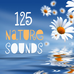 Nature Sounds and Instrumental Relaxing Music for Sleep, Sleep Music and Nature Sounds
