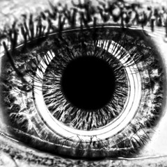 Tech Bros Are Jiving Y'all