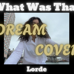 What Was That - Lorde [cover]