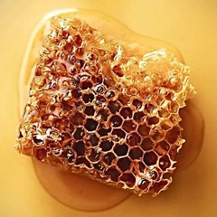 Honey (Freestyle)