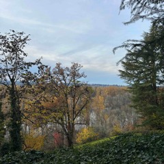 Falls (prod. tiresss / underrated club)