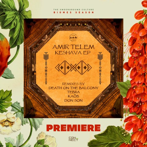 PREMIERE: Amir Telem - Keshava (Death On The Balcony Remix) [Camel Riders]