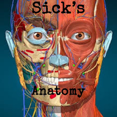 sick’s anatomy