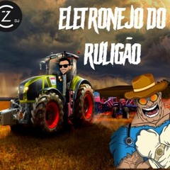Eletronejo Do Hooligão - DJ CZ