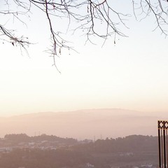 ::..¨¨¨¨::,,::::::::___``