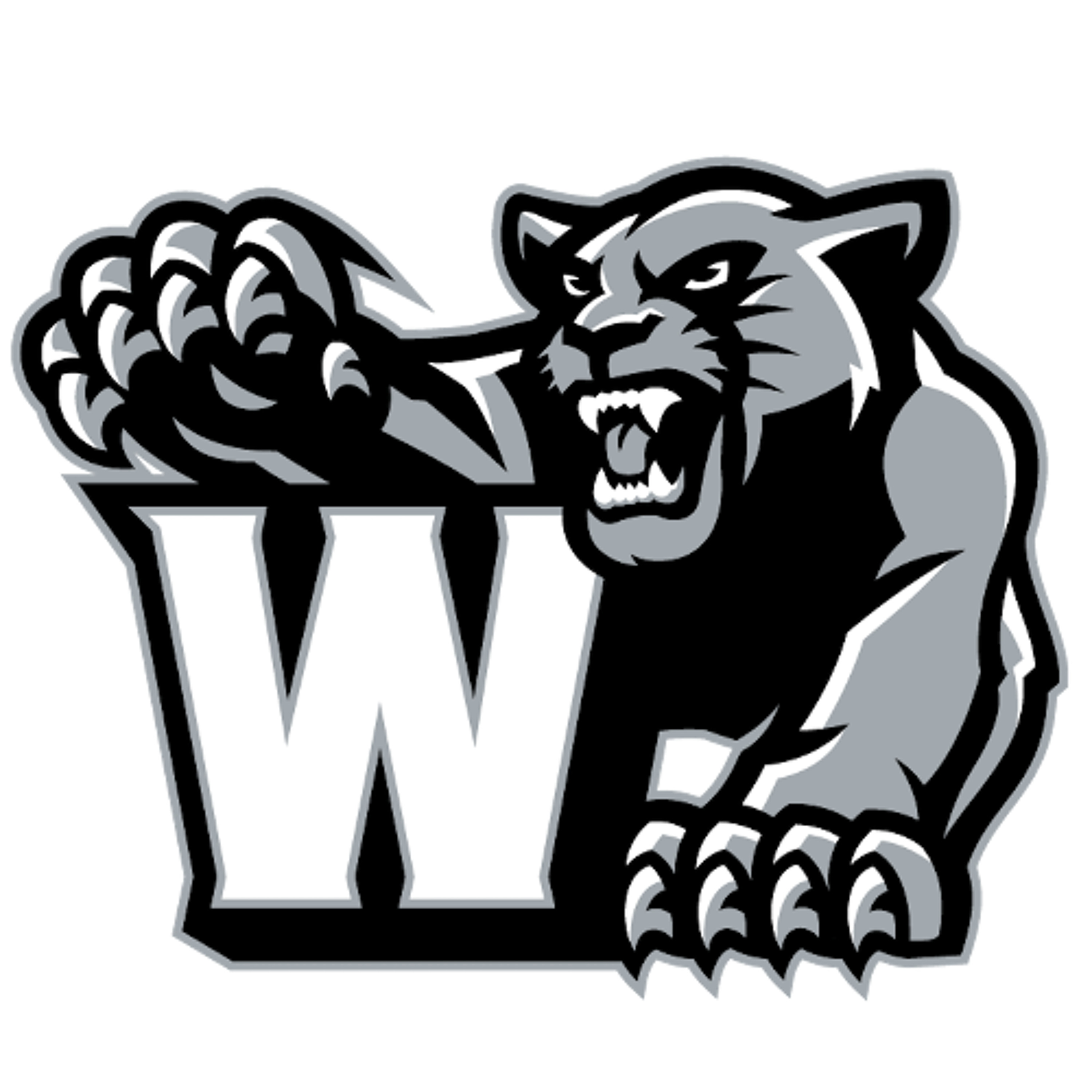 Central Indiana Sports Report