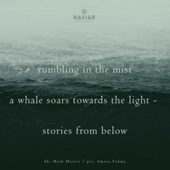 Stories From Below (naviarhaiku326)