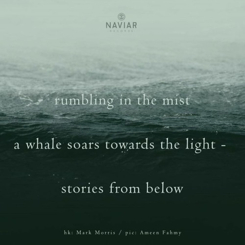 Stories From Below (naviarhaiku326)