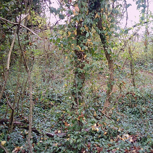 Put Your Back Into It