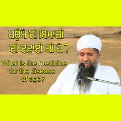 What is the medicine for the disease of ego?(Clip 1995)