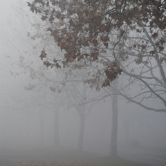 Uncertainty