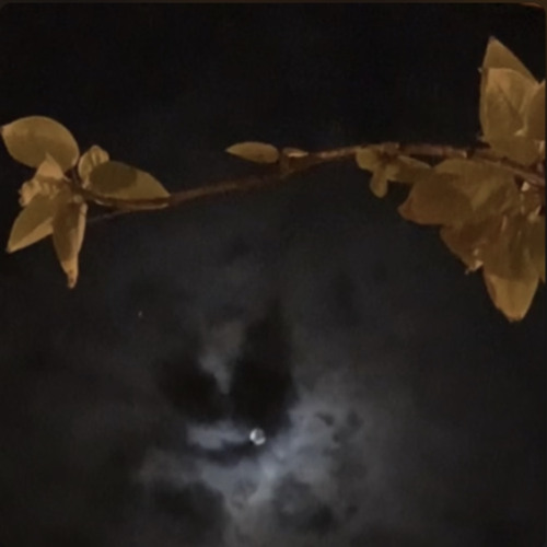 ‎⁨أي والله احبة ⁩