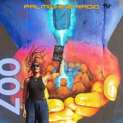 Palmwhine Radio Show #007 (DJ NKJ Takeover)