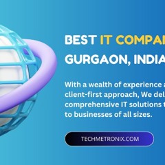 Best IT Company In Gurgaon, India-Techmetronix