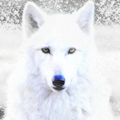 nikko jamell - so cold.mp3